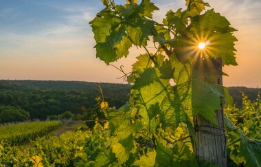Kraichgau-Stromberg: Kultur-Tour | © Kraichgau-Stromberg Tourismus e.V.