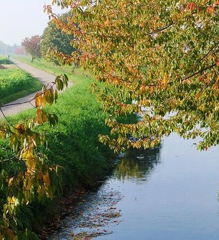 Leimbachroute - Vom Kraichgau zum Rhein | © Nachbarschaftsverband Heidelberg-Mannheim