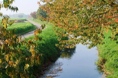 Herbststimmung am Leimbach | © Nachbarschaftsverband Heidelberg-Mannheim