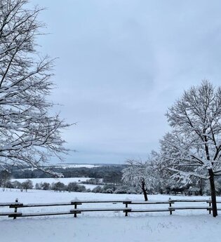 Liselotte-Gebhardt-Weg | © TOURISMUS REGION WERTHEIM GmbH