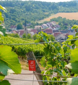 Main-Tauber-Fränkischer Rad-Achter: Westring 1. Etappe | © Liebliches Taubertal