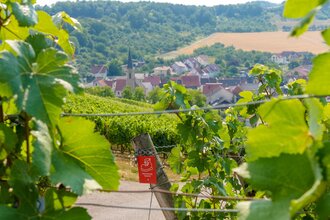 Main-Tauber-Fränkischer Rad-Achter: Westring 1. Etappe | © Liebliches Taubertal