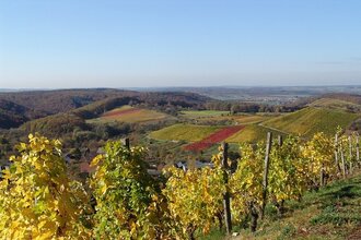 Naturpark Tour 2 - Streitbach Tour - Mit dem Gravelbike im Kraichgau-Stromberg | © Land der 1000 Hügel - Kraichgau-Stromberg