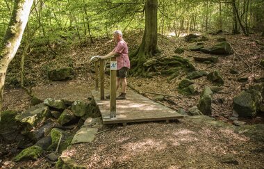 Wanderer bei Neckargemünd / Odenwald | © Touristikgemeinschaft Odenwald e.V.