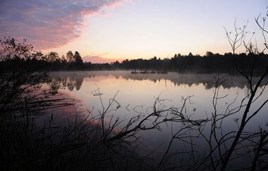 Sonnenuntergang im Schwenninger Moos