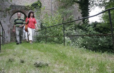 Panorama-Wanderweg – durch Weinberg und hügelige Weiten | © Tourist-Information Külsheim