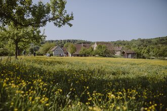 Blick auf die Häusersiedlung im Hohenloher Freilandmuseum | © Foto: Nico Kurth