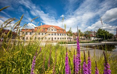 Rennrad-Tour durchs Württembergische Hügelland | © Stadt Bönnigheim