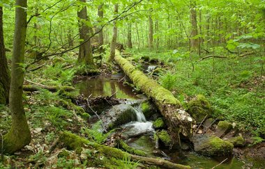 Rundtour Eberbach | © Landratsamt Rhein-Neckar-Kreis