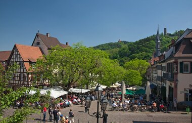 Rundtour Mannheim - Ladenburg - Weinheim | © Landratsamt Rhein-Neckar-Kreis | Dorothea Burkhardt