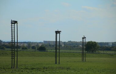 Rundtour Walldorf | © Landratsamt Rhein-Neckar-Kreis