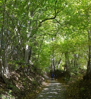 Rundwanderweg 3 Rund um den Kirchberg