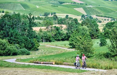 Radfahrer fahren auf einem Weg entlang | © Touristikgemeinschaft Hohenlohe e. V. | Florian Trykowski