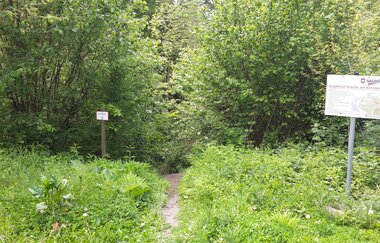Gaildorfer Singletrail am Kirchberg | © Petra Natzkowkski