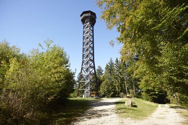 Zwei Waldwege führen zum Teltschikturm, der im Hintergrund zu sehen. | © Touristikgemeinschaft Odenwald e.V.