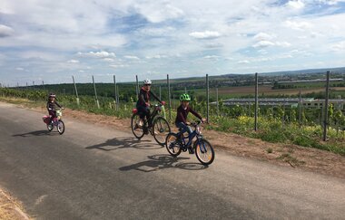 VAI-Tour-Nord | © Land der 1000 Hügel - Kraichgau-Stromberg