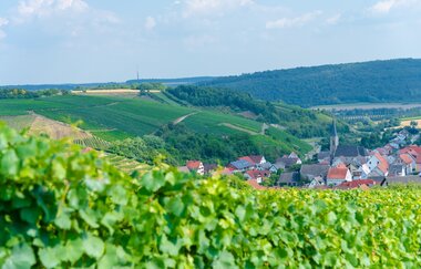 Wein-Radreise Taubertal | © Liebliches Taubertal