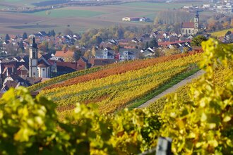 Blick auf den Weinsüden Weinort Erlenbach | HeilbronnerLand | © Tourismus im Weinsberger Tal